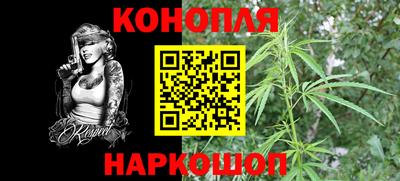 амф Камышлов