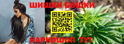 амф Камышлов