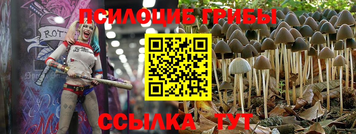 Красный Сулин  Галлюциногенные грибы мицелий  Галлюциногенные грибы GOLDEN TEACHER  Вход с VPN 
