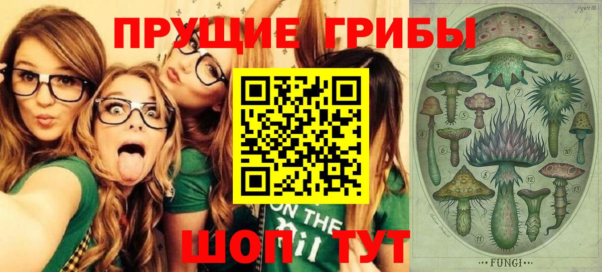 Галлюциногенные грибы Cubensis Красный Сулин